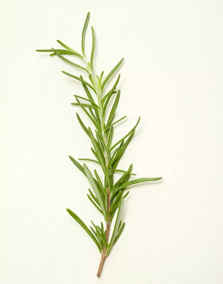 香子兰(vanilla),有浓郁的奶油香,所以和乳制品以及奶味甜品非常搭