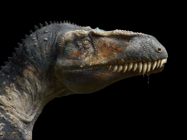 最易理解的划分这套书的划分也是极易理解,赵闯和杨杨从体型和食性的