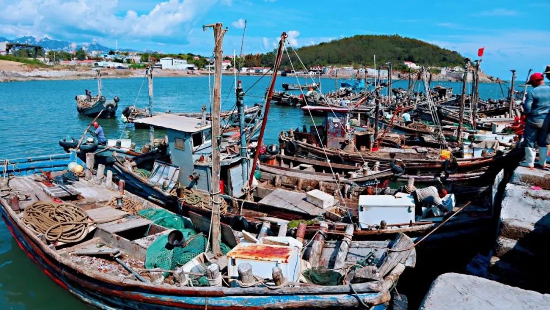 实拍:揭秘青岛渔港码头  风景美如画 海鲜这样打捞