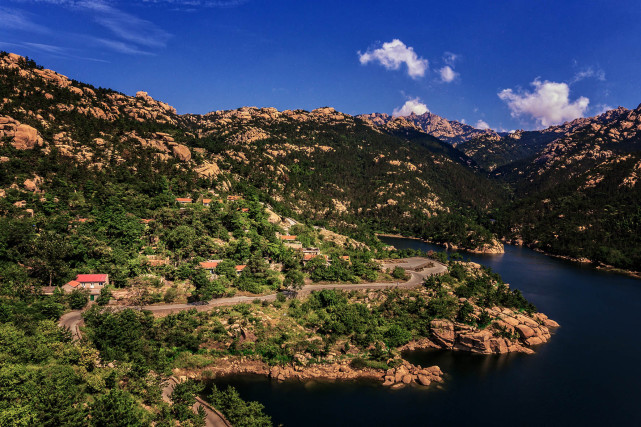 的花长成一棵小树生根,发芽,飘落在塌陷的屋顶,梧桐树的种子,马鞍子村