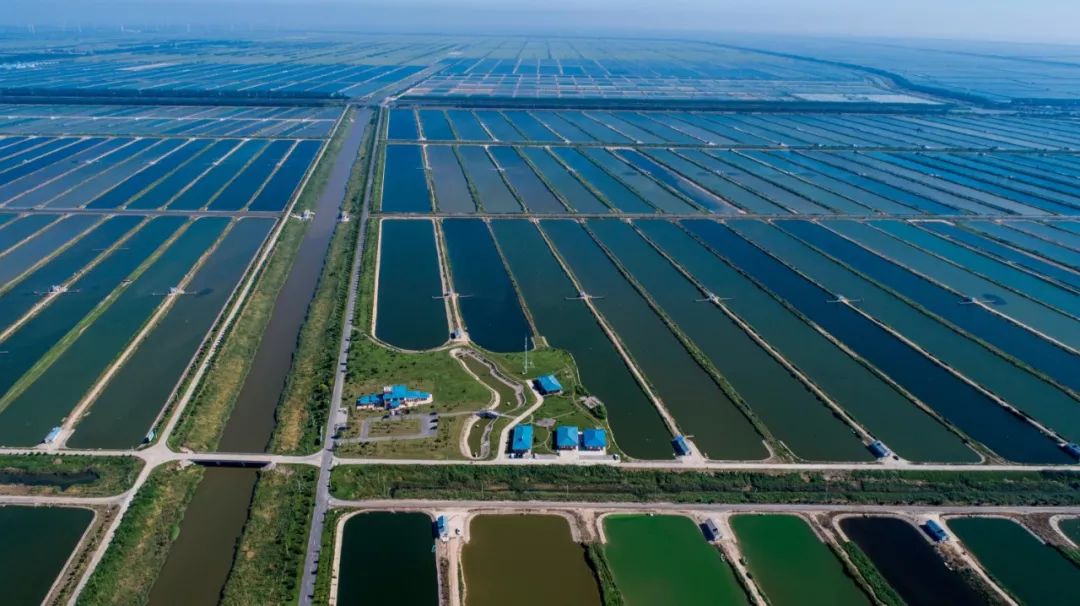 水润万物衍生至繁光明渔业厚植爱与尊重的光明文化67致力打造中国