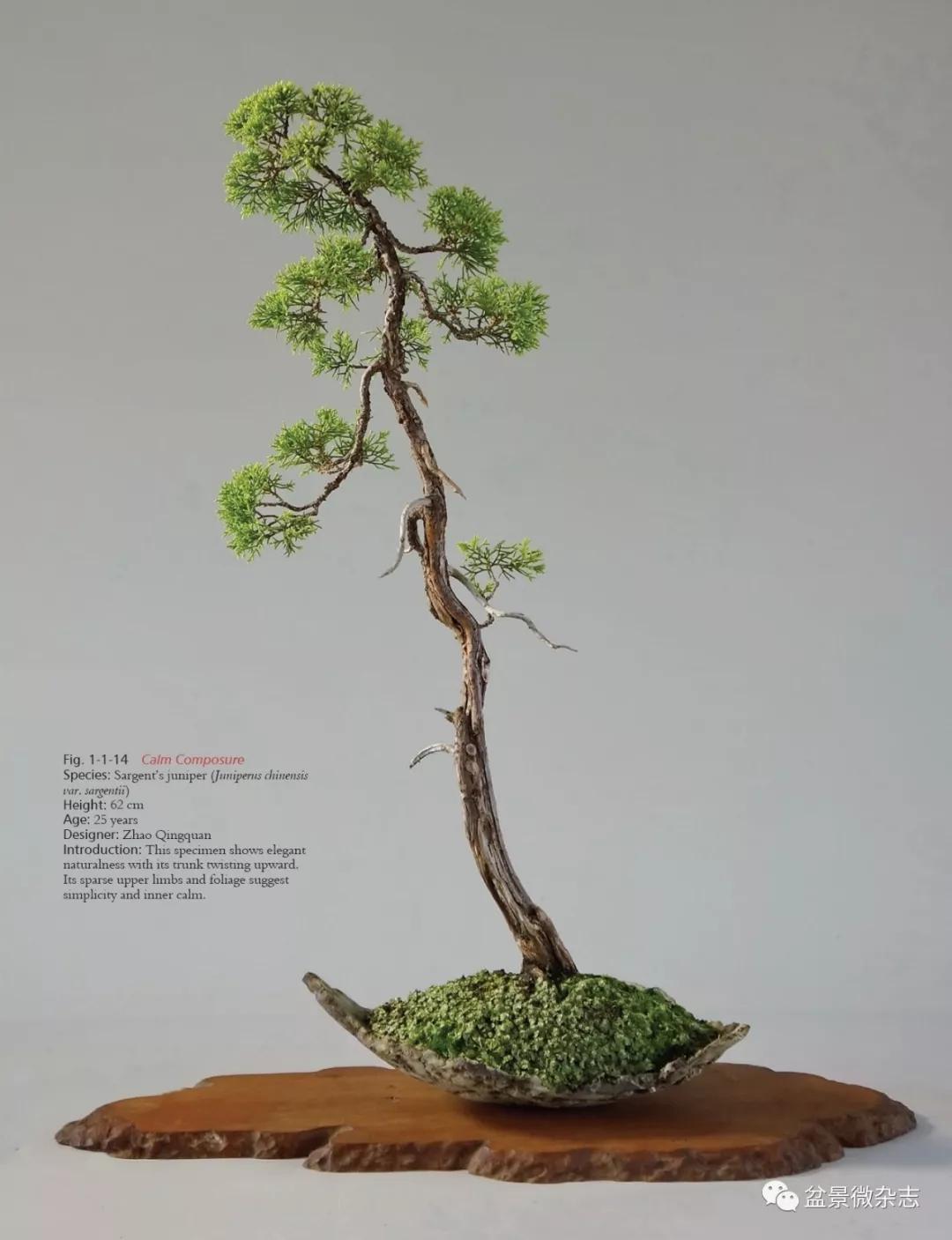 韩学年盆景创新的几个话语