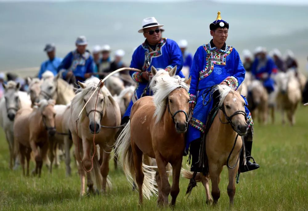 中国最大游牧民族步入马背新生活