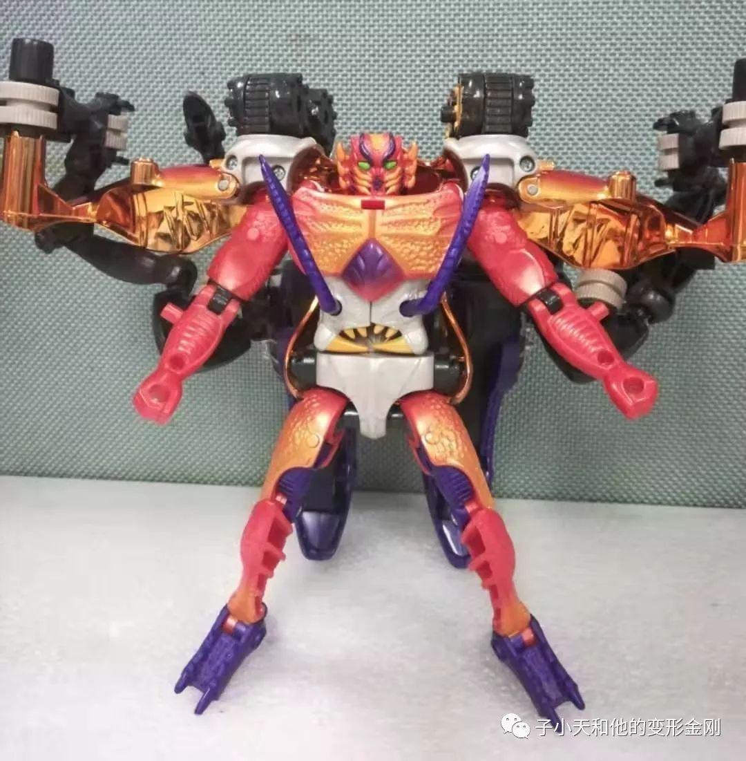 评玩具子小天粑粑总测评变形金刚bw原生体x狂飙中秋节来两只大闸蟹