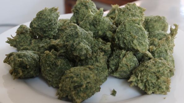 炸荷花荷叶尖包肉湖草丸子微山湖里采摘的东西也太好吃了吧