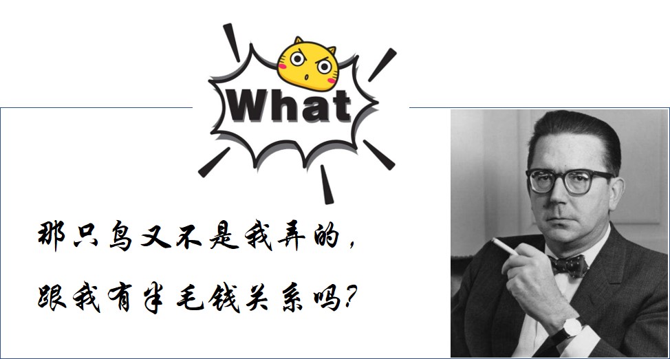 出大事了王老吉要和一只鸟pk