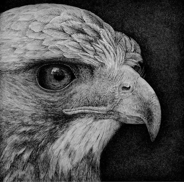 笔触绘制纷繁复杂插画毕业于东京艺术大学池田学▼钢笔画"狂魔"介绍