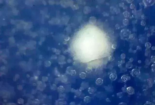 古瓷:在显微镜下的样子_瓷器