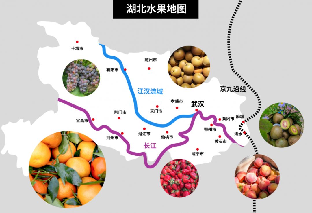 卫星遥感摸清秭归柑橘"家底"