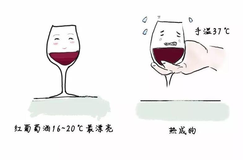 葡萄酒怎么倒酒该倒多少不可不知的葡萄酒礼仪