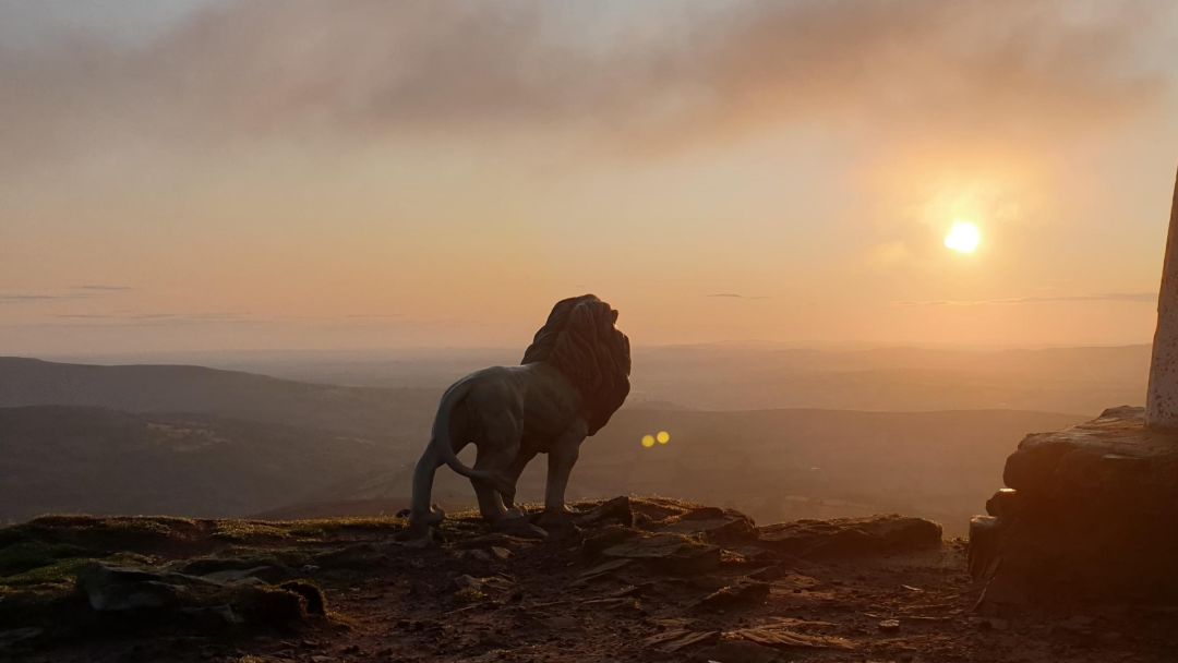 雄狮站在山顶的照片图片