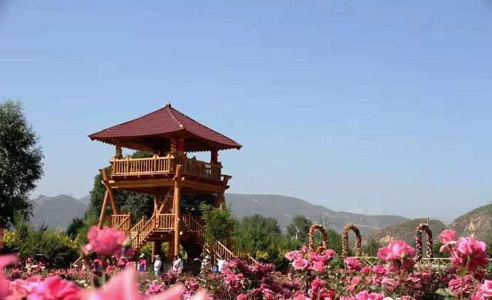 初秋时节,卯寨的花海依旧烂漫盛放,等待着携亲带友的人们前来赏游.