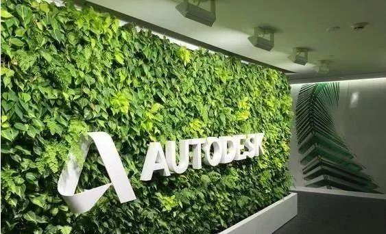 绿色植物墙 广告型logo这是植物logo墙最常见的样式,在一面铺满植物的