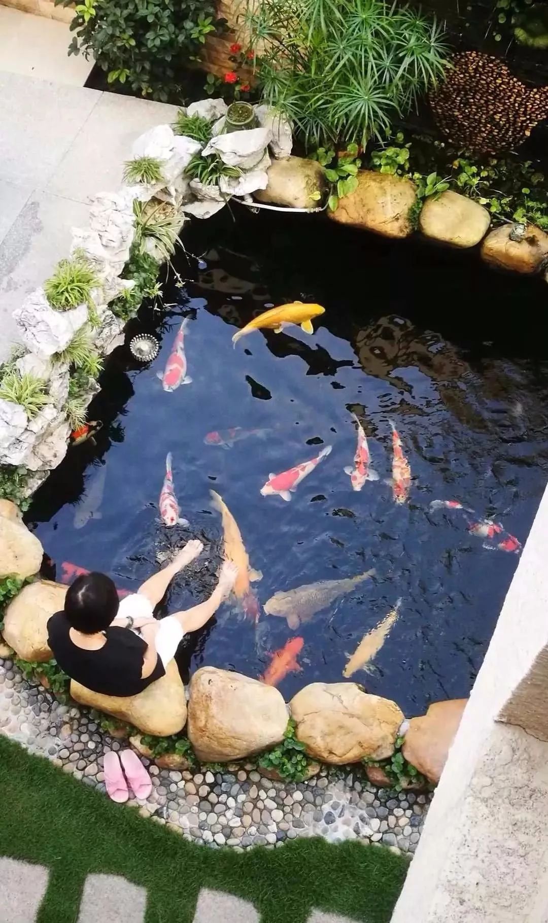御梵景观:30款花园鱼池合集,总有一款你喜欢!