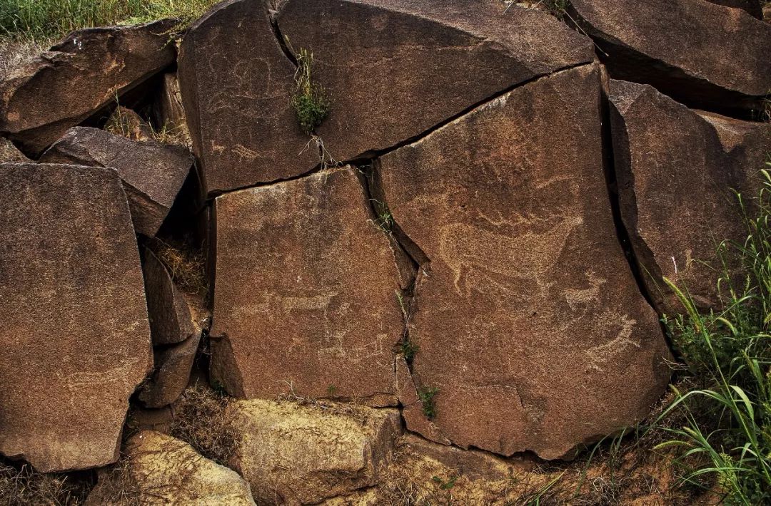 寻石问道 | 穿越乱石滩 探古6000年古岩画