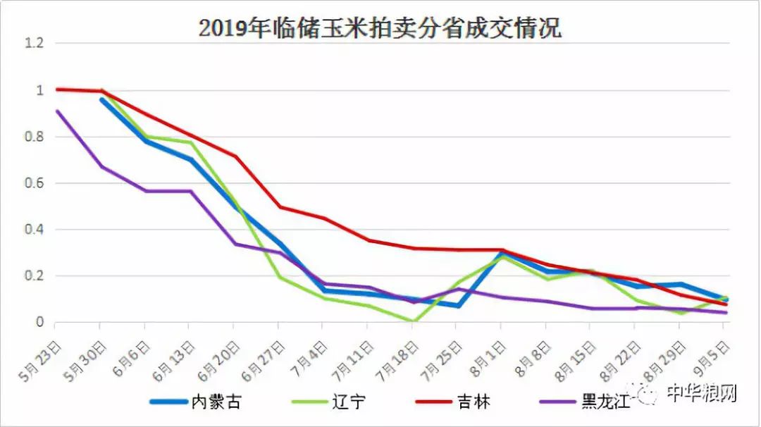 临储玉米什么时间竞拍