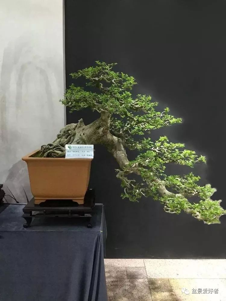 老师印象贺淦荪老师六周年去世缅怀