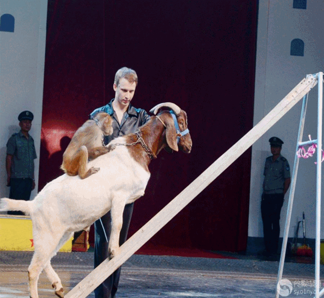 带你嗨爆中秋小长假!