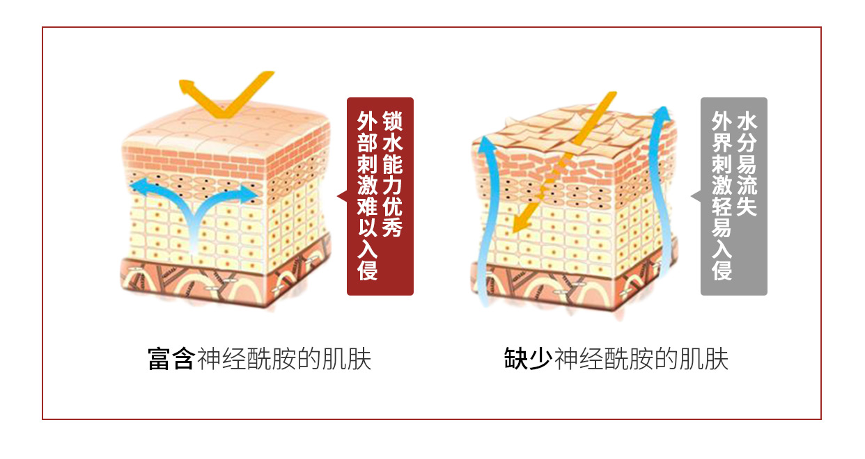 什麼產品才能真正拯救沙漠幹皮?