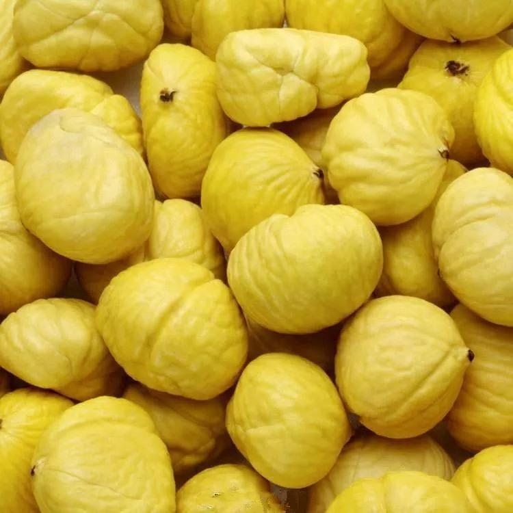 新县乡下的板栗熟了这才是满满的儿时味道