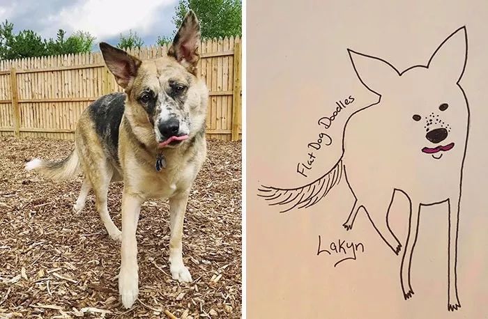 灵魂画手上线这次画的是你家的动物