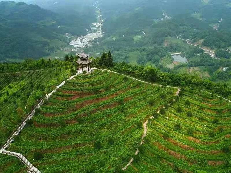 恩施20个乡村入选荆楚乡村美景快来为家乡投票