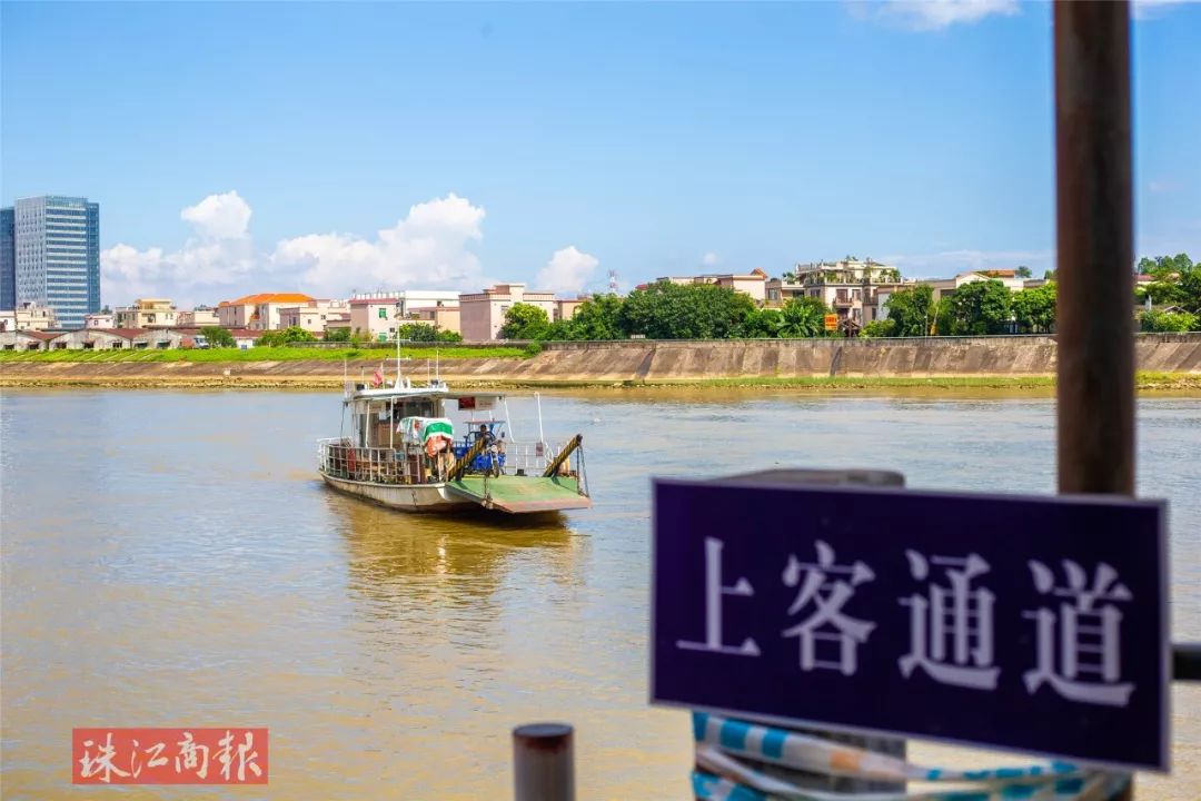 睇顺德丨大汕岛:顺德"最后一块净土",隐于城中的"世外桃源"