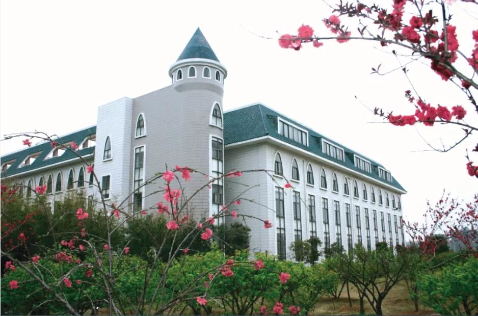 关注武汉外小系3所小学招生条件招生办法审核流程信息汇总