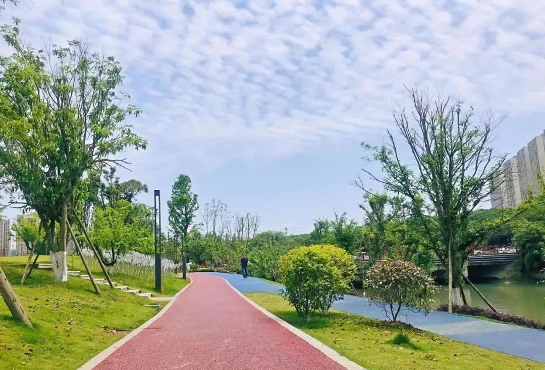 天府文化 | 这几个颜值爆表,功能齐全的公园已出炉,成都人运动休闲又
