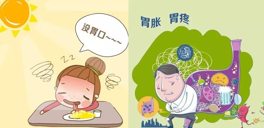 健胃消食口服液餐前1支增食欲饭后1支助消化