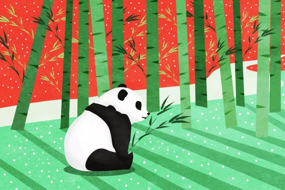 订阅丨大熊猫的彩色画
