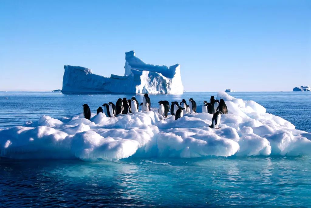 2020年去南极守岁与孩子行知人生之极