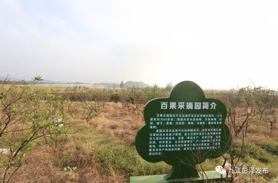 生态园 百果园 游乐园居家孝家持家看良田!