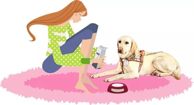 活动预告中秋节特别活动走近导盲犬的世界