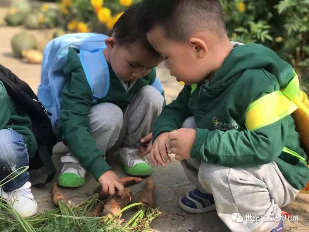 博苑世紀之星幼兒園擁抱自然快樂採摘農場實踐活動暨新學期家長會