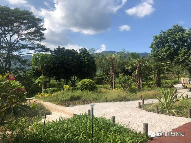 国贸文旅田园竹坝喜迎丰收节