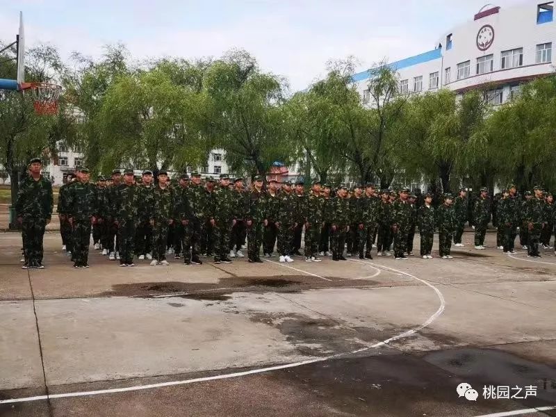哈尔滨武警指挥学校图片