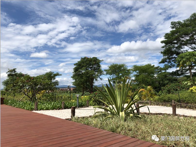 国贸文旅田园竹坝喜迎丰收节