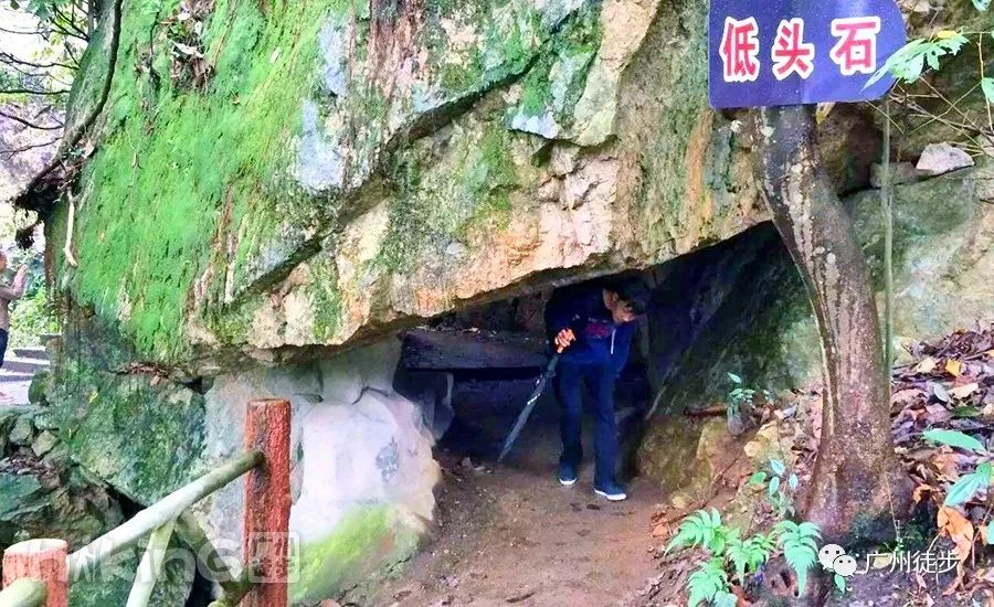 178元-188年龄限制:10岁-60岁目的地:清远仰望陡峭天梯-金子山9月15日