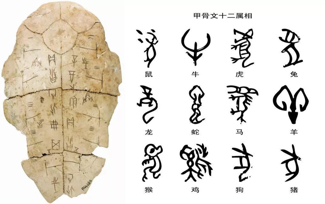 古代中国动物科学(一)∣甲骨文中记载的中国动物名称