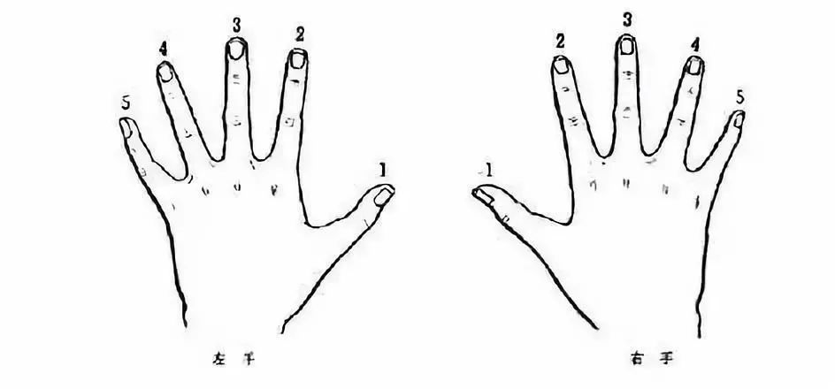七色光琴行丨钢琴五种基本指法详解_手指头