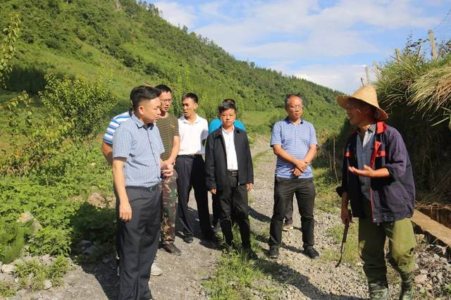 县长李雄文到湾塘白云和平开展综合调研