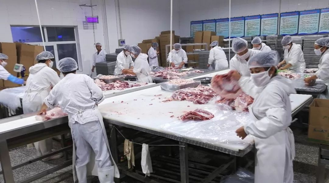 好羊肉是这样"精挑细选"出来的_加工