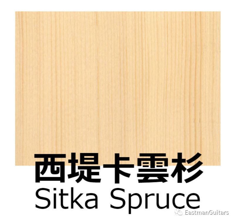 你能辨认出常见的四种云杉面板吗