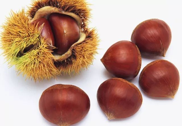 考妈食谱:高中生最该吃的10种补脑食物,增智,抗疲劳!