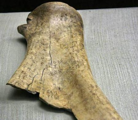 古代中国动物科学（一）∣甲骨文中记载的中国动物名称_人们