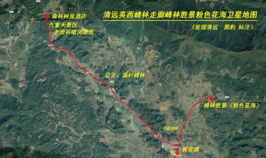 苦苦等候300天黄花闺女终于又盼来了最美秋天童话