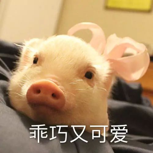 实不相瞒我就是这样泡到我女朋友的
