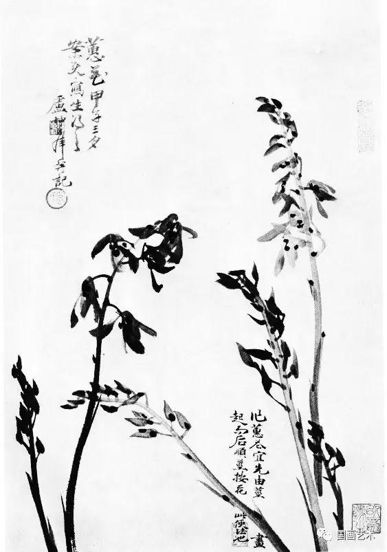 卢坤峰兰谱选页分享