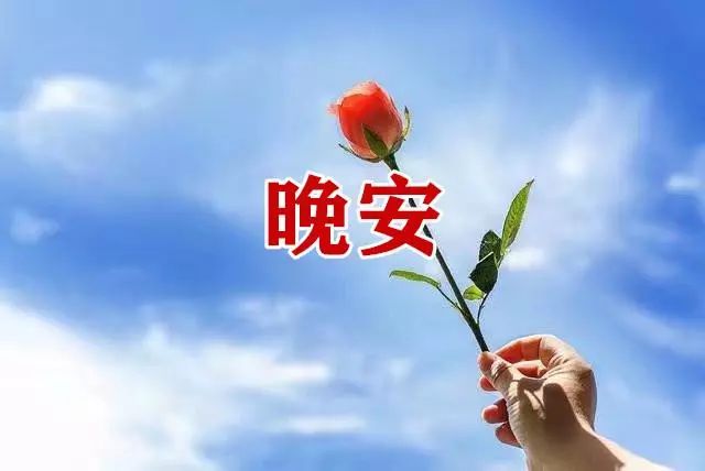 晚安这是我见过最暖心的一句话晚安语录真正写到心里去了